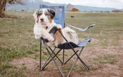 The Best Camping Chairs – The Surprising Answer!